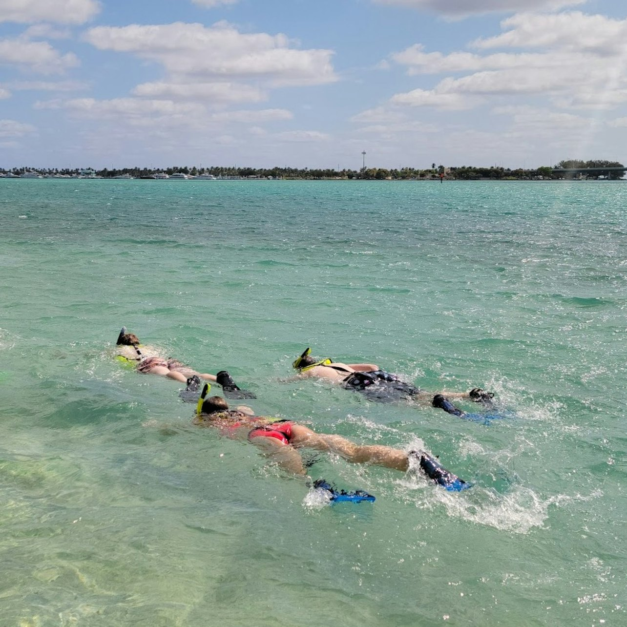 Miami: Beginner-Friendly Island Snorkeling by SUP or Kayak - Photo 1 of 6